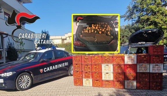Ladri di arance in azione: un arresto in flagranza dei Carabinieri