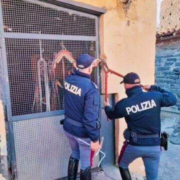 Sequestro di Cavalli a Catania: Un Passo Avanti contro il Maltrattamento Animale