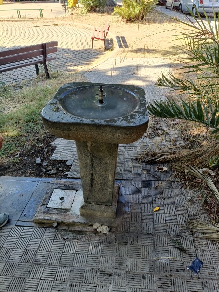 IMG20250801094300 ALLARME ZANZARA TIGRE A OGNINA: FONTANA DI PIAZZA NETTUNO DIVENTA UN PERICOLO IGIENICO-SANITARIO Consitalia chiede l’intervento immediato del Comune di Catania per disinfestazione e manutenzione
